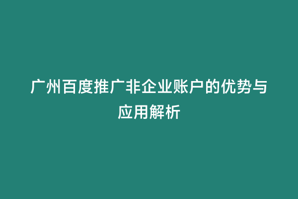 广州百度推广非企业账户的优势与应用解析